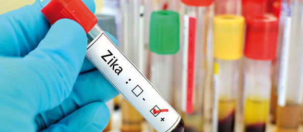Zika