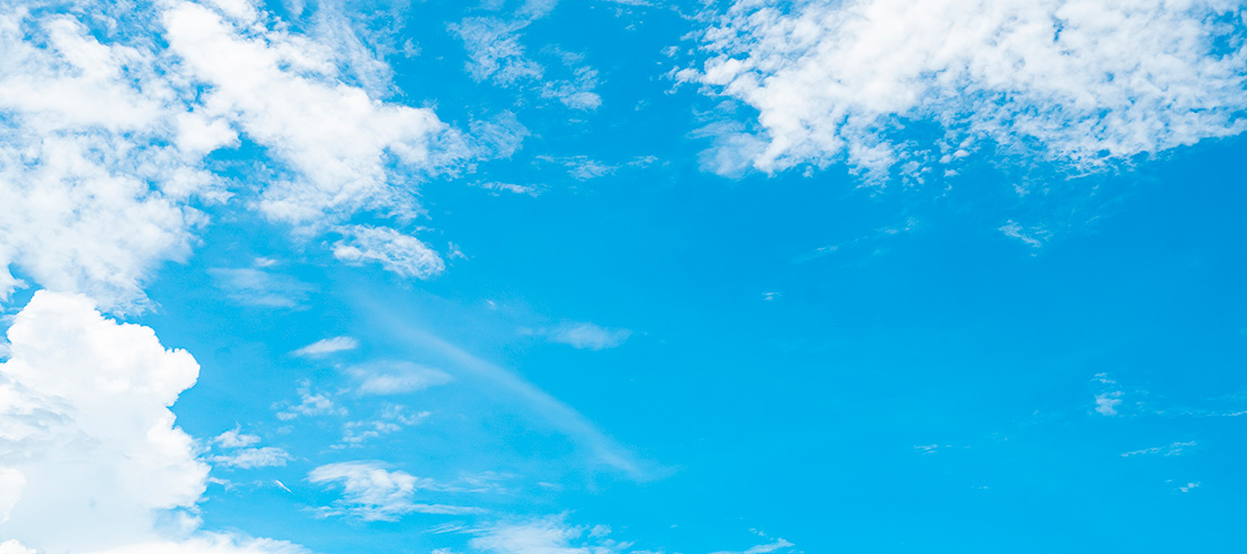 Preocupació de professionals de la salut per la mala qualitat de l’aire que respirem