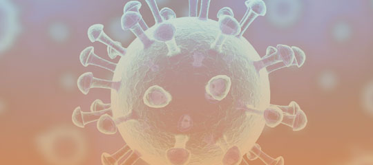 El que sabem sobre la immunitat davant el SARS-CoV-2’