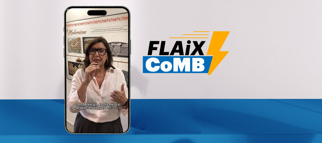 flaixcomb elvira